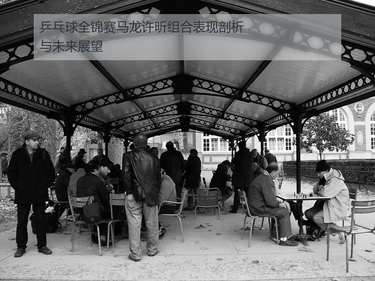 乒乓球全锦赛马龙许昕组合表现剖析与未来展望